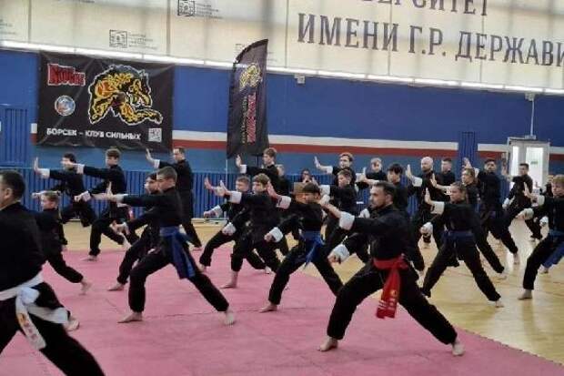 В Тамбове прошёл XXIII Фестиваль боевых единоборств