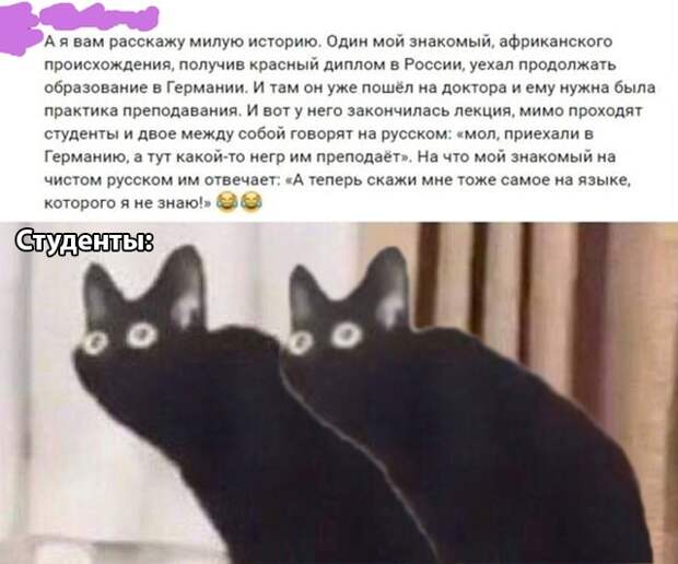 www.vsyako.net