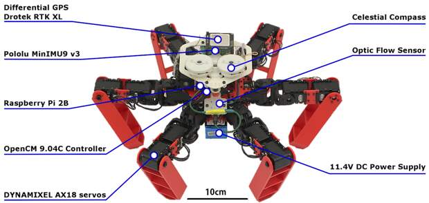 AntBot – робот, получивший навигационную систему муравьев (3 фото + 2 видео) AntBot – робот, получивший навигационную систему муравьев (3 фото + 2 видео)