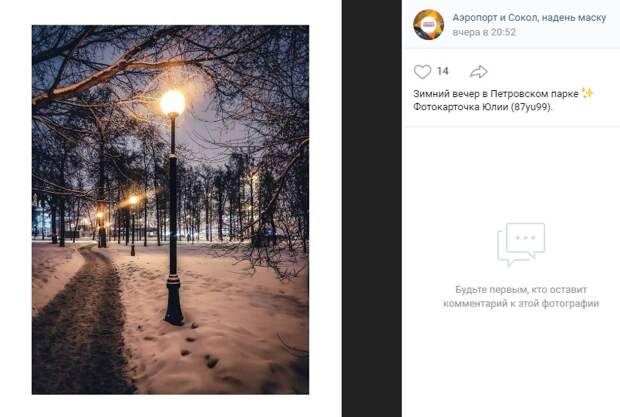 Фото дня: морозный вечер в Петровском парке