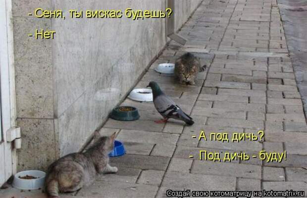 Мысли вслух :)