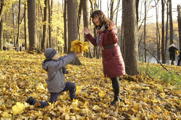 mother-and-son-864142_1280.jpg mother-and-son-864142_1280.jpg