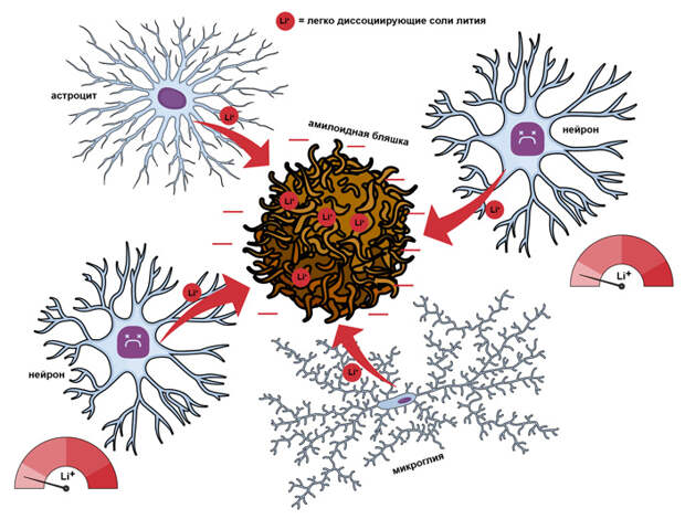 Рис. 2. Легко диссоциирующие соли лития, такие как лития карбонат, легко отдают ионы лития в растворе