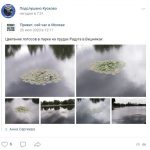 фото дня
