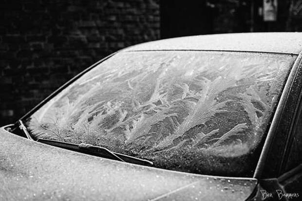 Замороженные автомобили, которые зима превратила в искусство авто, зима, красиво, мороз