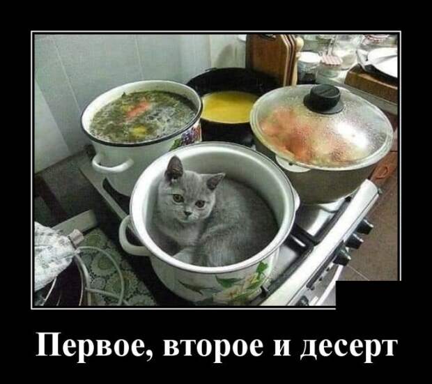 www.vsyako.net