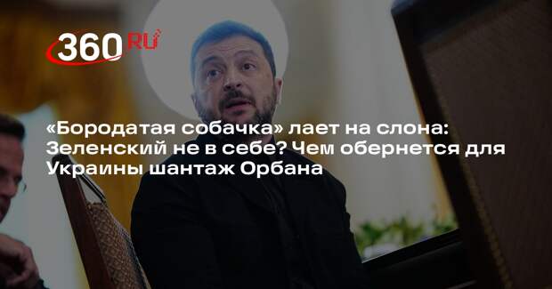 Аналитик Фельдман: Зеленский сошел с ума, ему нечего терять с Орбаном