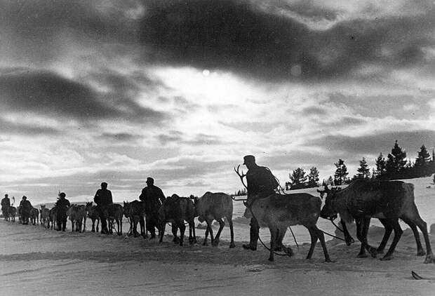 Летом и осенью 1941-го финны оккупировали Карелию