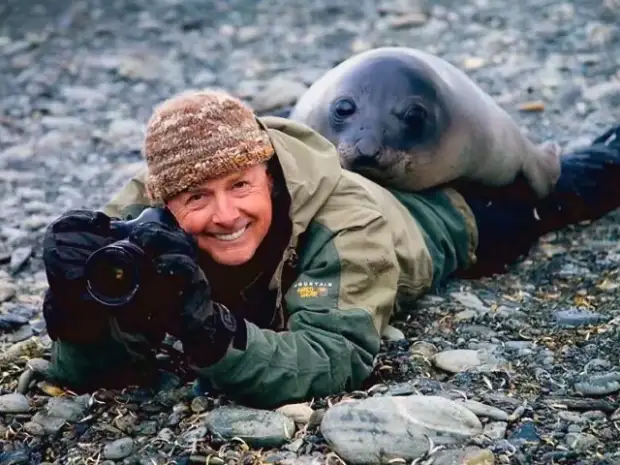 Помощники, однако