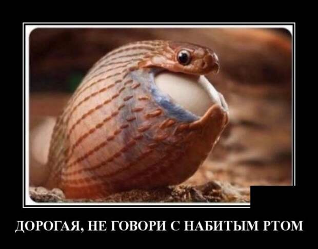 Демотиватор про жену