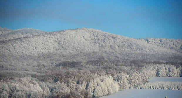Профессор назвал два сценария развития поисков Усольцевых