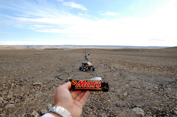 На фото с Марса попал космонавт обслуживающий марсоход