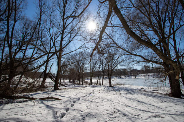 Тёплая и солнечная погода ожидает жителей Тулы 14 марта