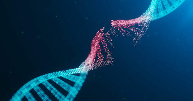 Как невесомость влияет на мутации днк?