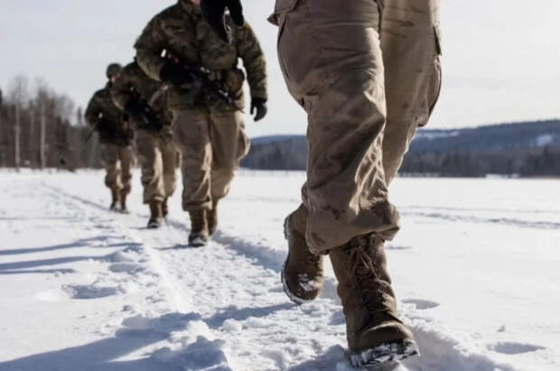 На Украине объяснили, почему не собирают тела военных ВСУ после боев