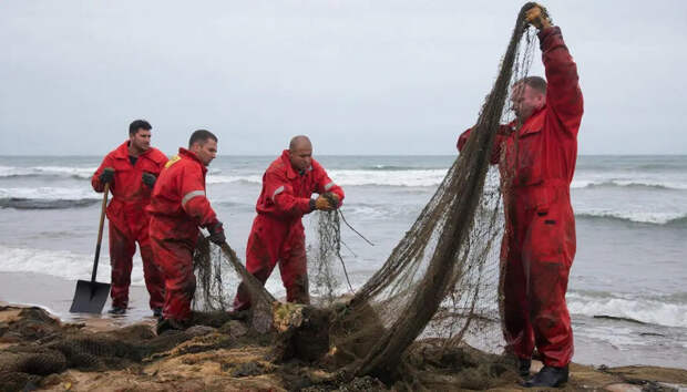 Говорили, что сбежал: Тайна пропавшего в Турции пловца вот-вот будет раскрыта? Собрала всё, что известно к этому часу
