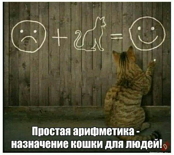 Свежие мемы данного вторника