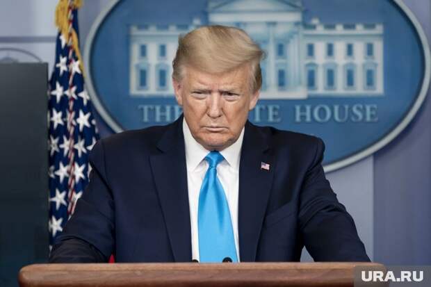 Дональд Трамп рассчитывает, что последующая неделя станет ключевой Фото: Official White House / Andrea Hanks