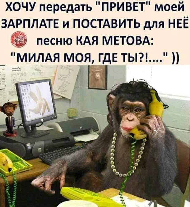 Объявление в "Вечерней Одессе": "Мадам в возрасте ищет работу"...