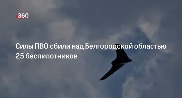 Силы ПВО сбили над Белгородской областью 25 беспилотников