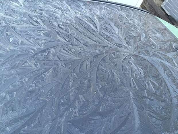 frozen-frosted-cars-141__605