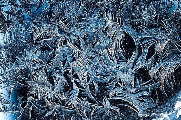 frozen-frosted-cars-111__605