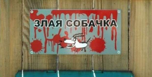 Необычные информационные таблички с калиток, ворот и заборов (15 фото)