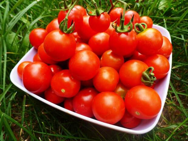 Продукты, которые не должны храниться в холодильнике: картофель, лук, помидоры и другие