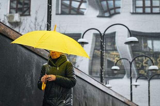 Синоптик Леус: в Москве начнутся дожди 27 марта