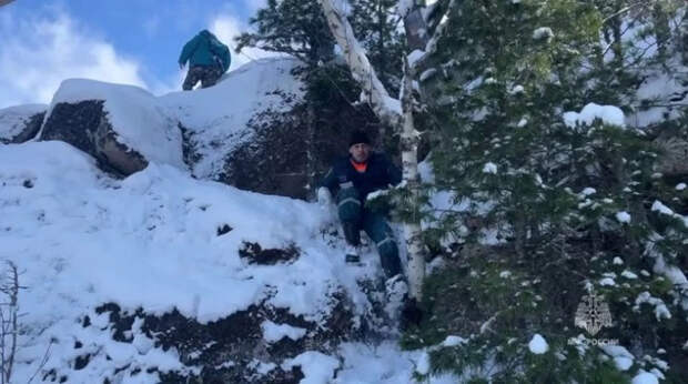 Следком возобновил поиски семьи Усольцевых в красноярской тайге