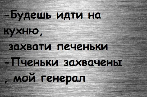 Идите на кухню. Будешь на кухне захвати печеньки. Пойдешь на кухню захвати печеньки. Печеньки захвачены мой. Печеньки захвачены мой генерал.