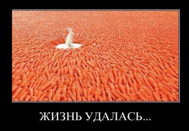 Прикольные демотиваторы с надписями. Подборка chert-poberi-dem-chert-poberi-dem-45300504012021-5 картинка chert-poberi-dem-45300504012021-5