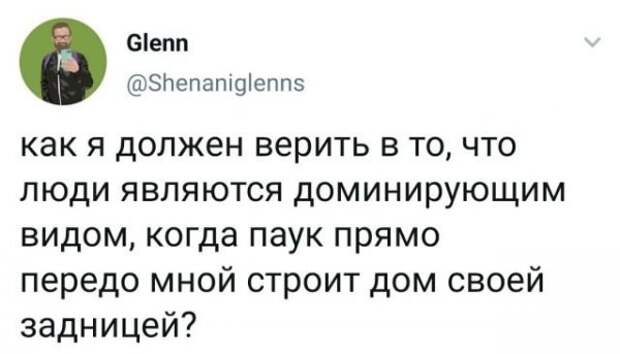 Подборка забавных твитов обо всем