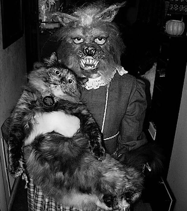 24. Девушка в костюме кошки на Хэллоуин, США, 1968 год век, мир, прошлое, снимок, событие, странность, фотография