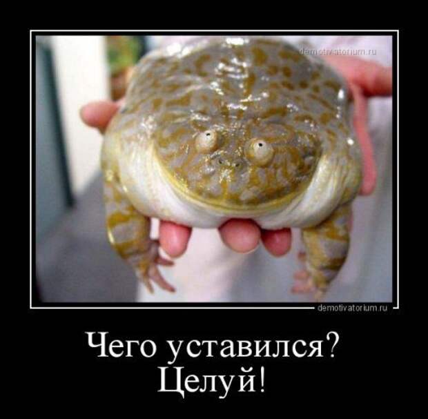 00jaba (500x490, 36Kb)