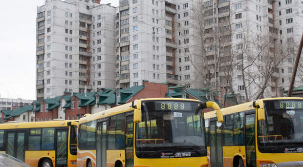 Новосибирские власти в очередной раз продлили конкурс на установку комфортных остановок
