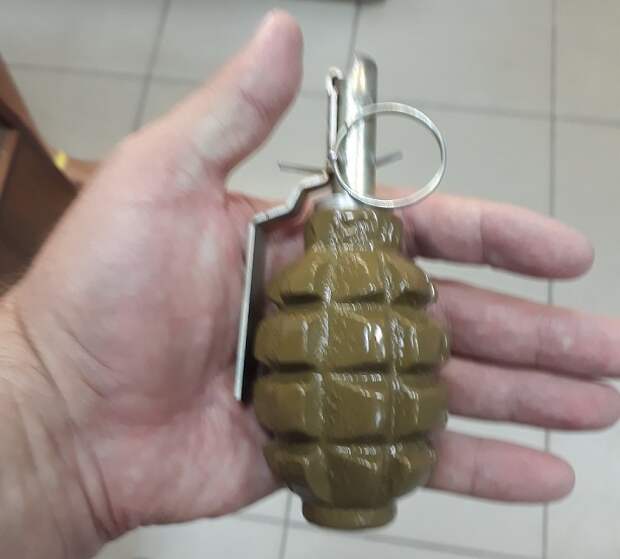 Жительница Ростова-на-Дону нашла на балконе своей квартиры боевую гранату Ф-1