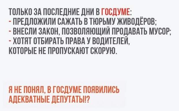 Картинки с надписями картинки с надписями, прикол, юмор