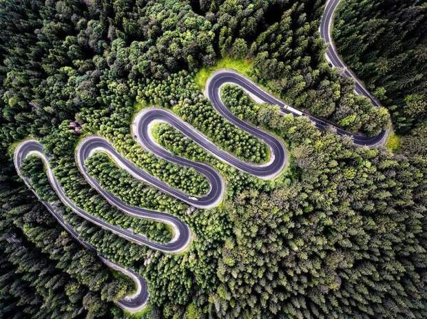 10 лучших снимков с конкурса фотографии дикой природы National Geographic