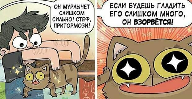 Британка рисует комиксы о своей жизни с котами и молодым человеком