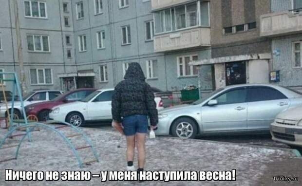Весна уже пришла? Или пока еще нет? (23 фото)