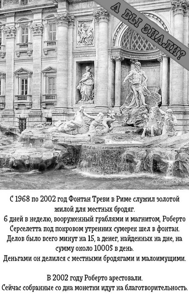 интересные факты