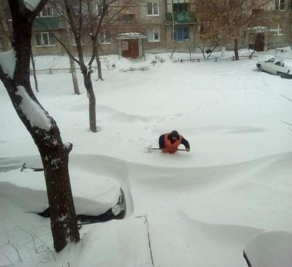 Картинки, юмор, приколы