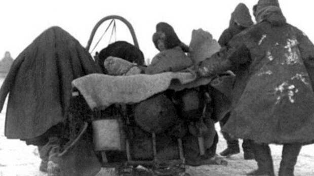 голод