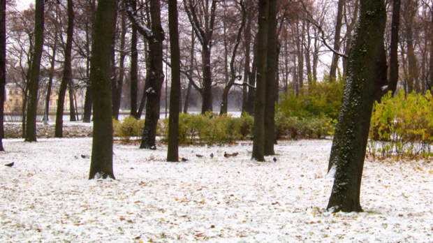 В Петербурге с начала зимы убрали более 25 тысяч кубометров снега