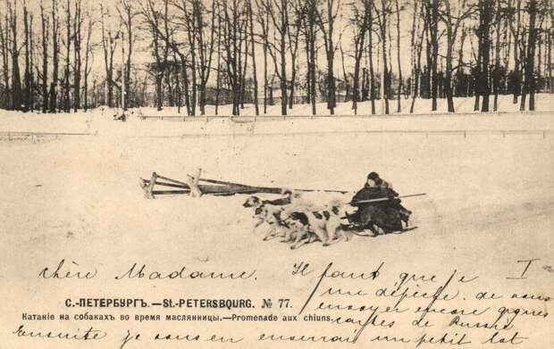 Катание на собаках во время масленицы