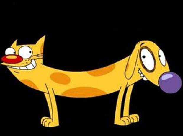 Мультфильм, где кот и собака в одном флаконе