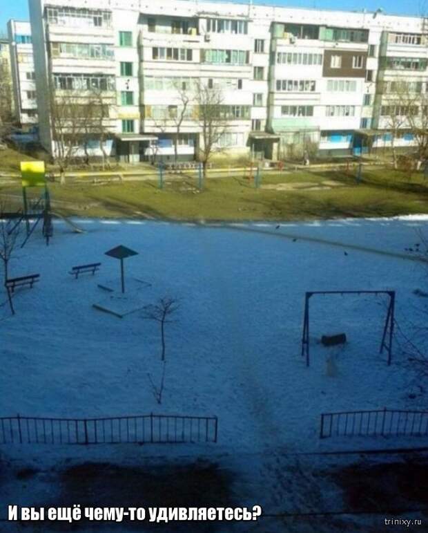 Весна уже пришла? Или пока еще нет? (23 фото)