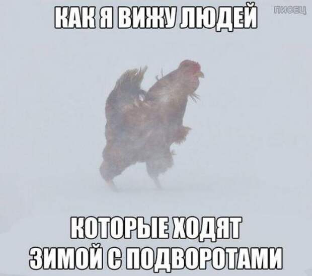 Убойные заряды юмора на все ближайшие дни. Смотрим! Убойные заряды юмора на все ближайшие дни. Смотрим!