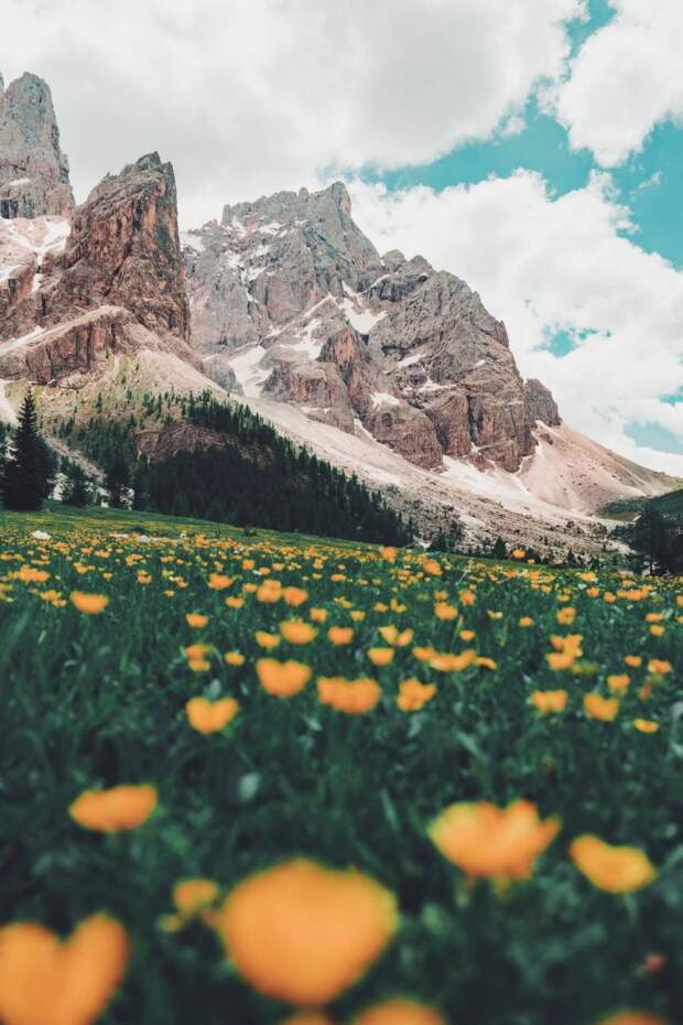 Красота природы на фотографиях